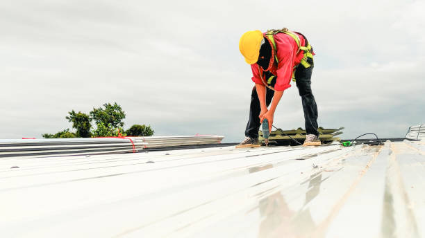 Best Roof Maintenance and Cleaning  in Emory, TX